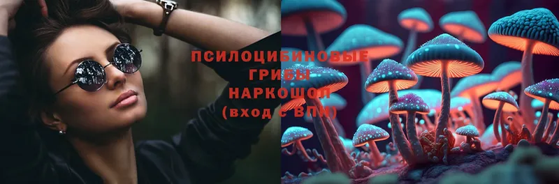 Псилоцибиновые грибы Psilocybe  Орлов 